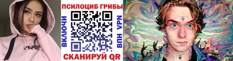 Купить закладки Алупка Псилоцибиновые грибы Psilocybe